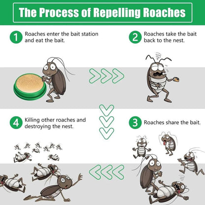 Cockroach killer gel for Kitchens Bathrooms Cabinets | Roach Repellent for Cockroaches for Indoor or outdoor (Pack of 2)  (12 pc in 1  Pack)