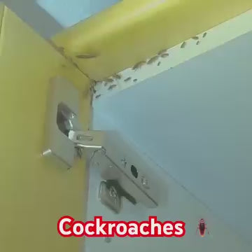 Cockroach killer gel for Kitchens Bathrooms Cabinets | Roach Repellent for Cockroaches for Indoor or outdoor (Pack of 2)  (12 pc in 1  Pack)